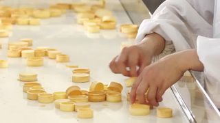 Автоматическая кислая производственная линия раковины